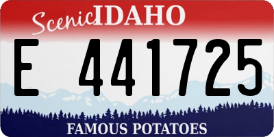 ID license plate E441725