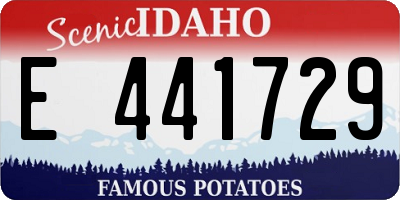 ID license plate E441729