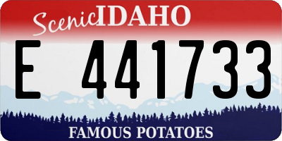 ID license plate E441733
