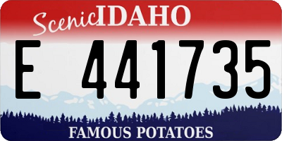 ID license plate E441735
