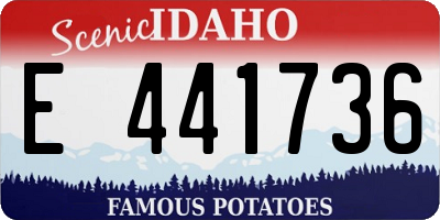 ID license plate E441736