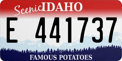 ID license plate E441737