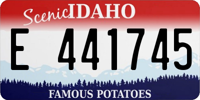 ID license plate E441745