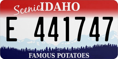 ID license plate E441747
