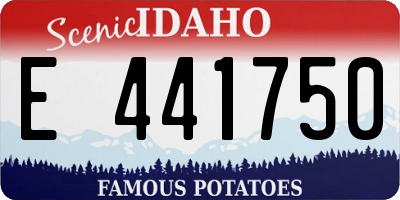 ID license plate E441750