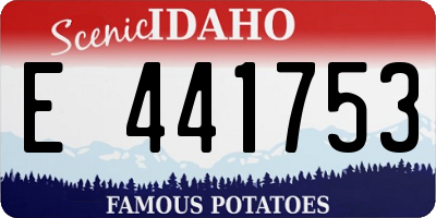 ID license plate E441753