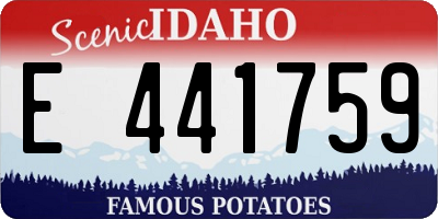 ID license plate E441759