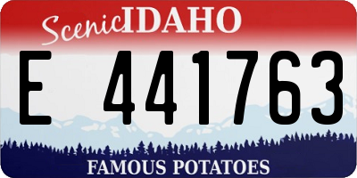 ID license plate E441763