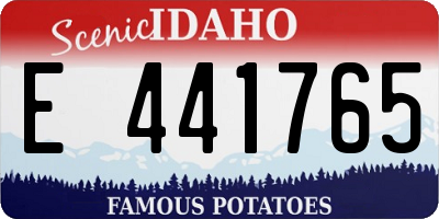 ID license plate E441765