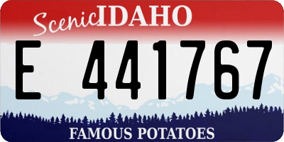 ID license plate E441767