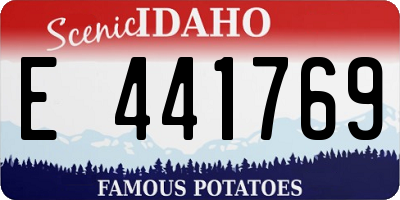 ID license plate E441769