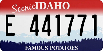 ID license plate E441771