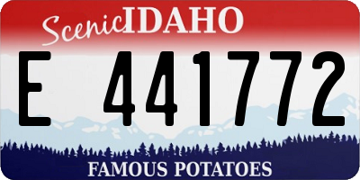 ID license plate E441772