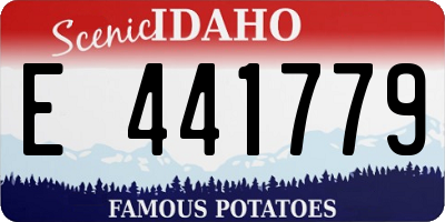 ID license plate E441779