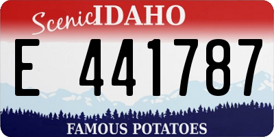 ID license plate E441787
