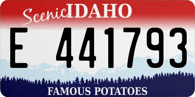 ID license plate E441793