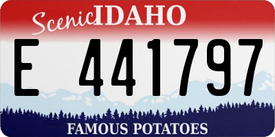 ID license plate E441797