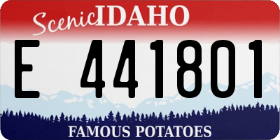 ID license plate E441801
