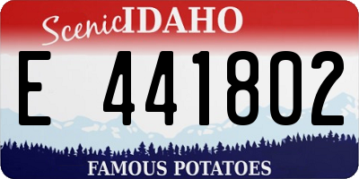 ID license plate E441802