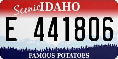 ID license plate E441806