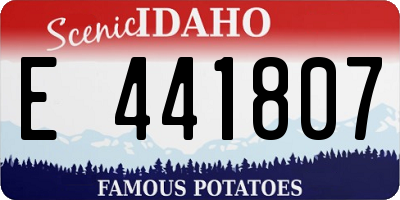 ID license plate E441807