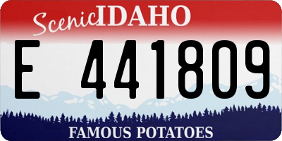 ID license plate E441809
