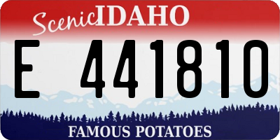 ID license plate E441810
