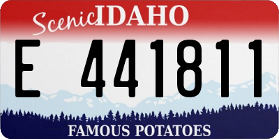 ID license plate E441811