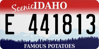 ID license plate E441813