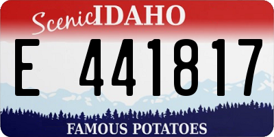 ID license plate E441817