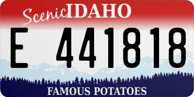 ID license plate E441818