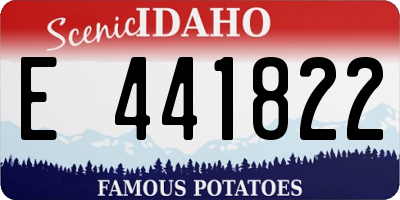ID license plate E441822