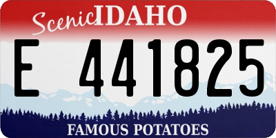 ID license plate E441825