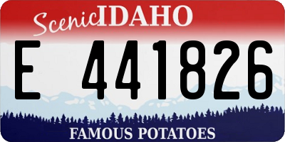 ID license plate E441826