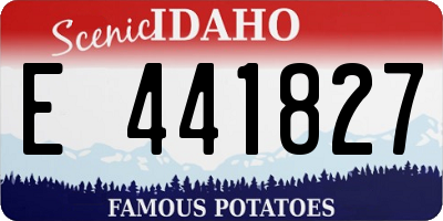 ID license plate E441827