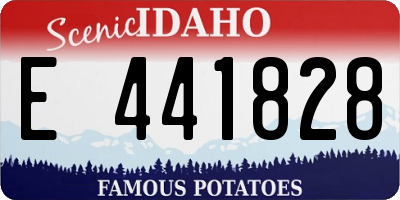 ID license plate E441828