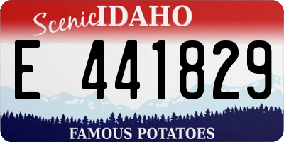 ID license plate E441829