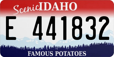 ID license plate E441832