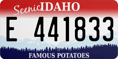 ID license plate E441833