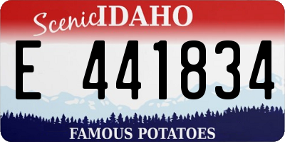 ID license plate E441834