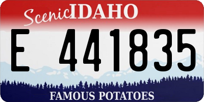 ID license plate E441835