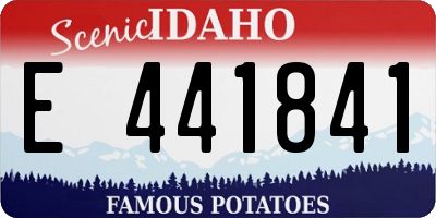 ID license plate E441841