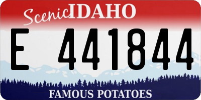 ID license plate E441844