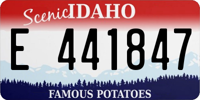 ID license plate E441847