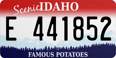 ID license plate E441852