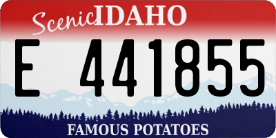 ID license plate E441855