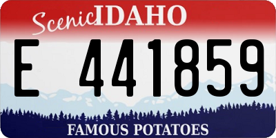 ID license plate E441859