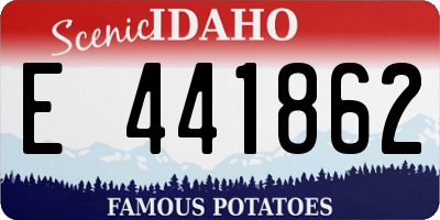 ID license plate E441862