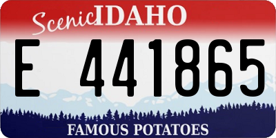 ID license plate E441865