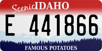 ID license plate E441866
